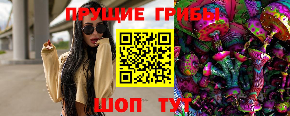 купить наркотики цена  Галлюциногенные грибы Cubensis  Вход с VPN  Егорьевск 