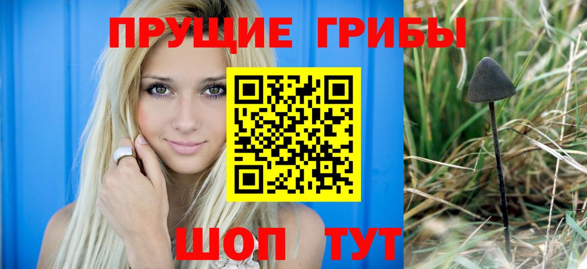 Галлюциногенные грибы Magic Shrooms Егорьевск